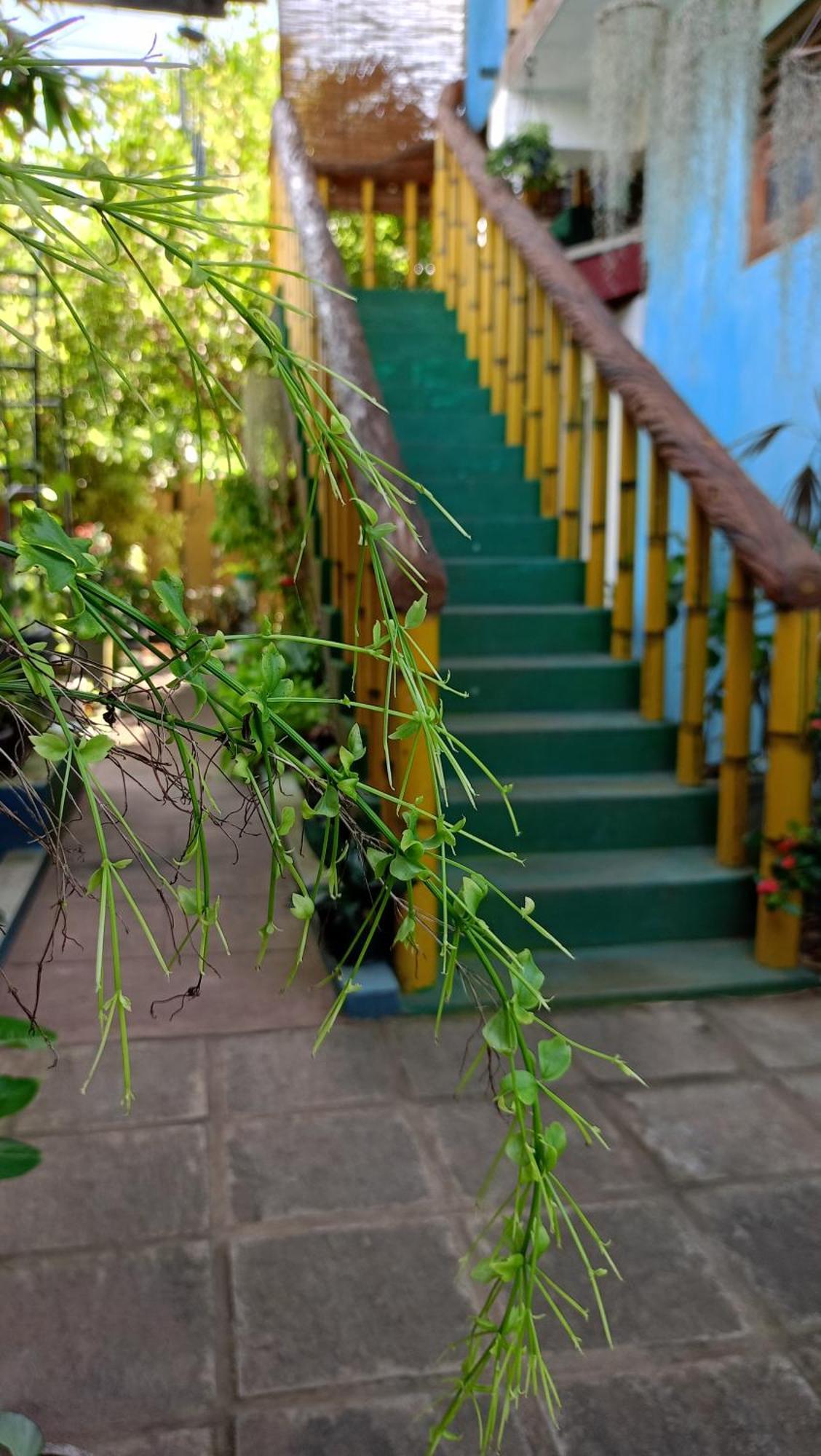Raj Mahal Inn Wadduwa Luaran gambar